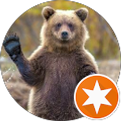 Profile photo of Brad Harrington