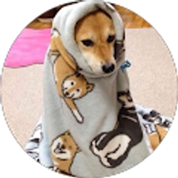 Profile photo of alli p