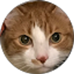 Profile photo of Vivian B