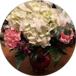 Profile photo of Hannah Mlodzik