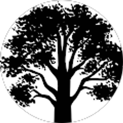 Profile photo of Teresa Helms