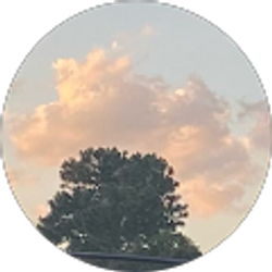 Profile photo of Matthew Doszkocs