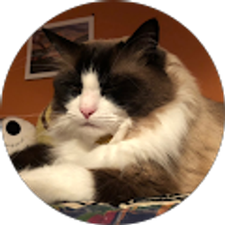 Profile photo of yorth