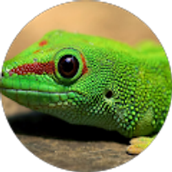 Profile photo of Kyler Flory