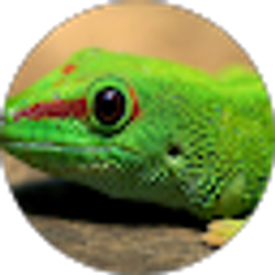 Profile photo of Kyler Flory