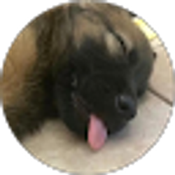 Profile photo of Olivia DuCharme