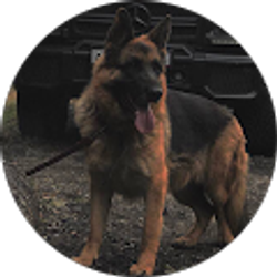 Profile photo of Евгений Кравченко