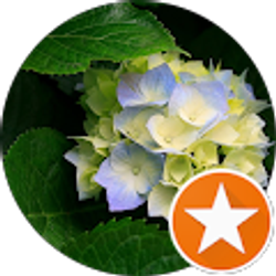 Profile photo of Tammy Steverson