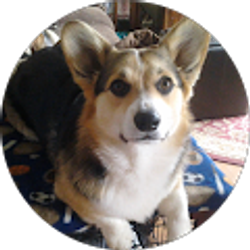 Profile photo of Rose Hiett /Hiett Hound Hotel