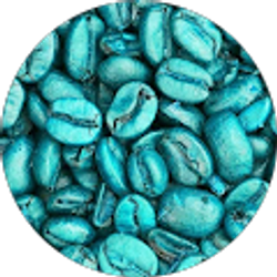 Profile photo of Kate Blankenship