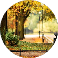 Profile photo of fidelis kariuki