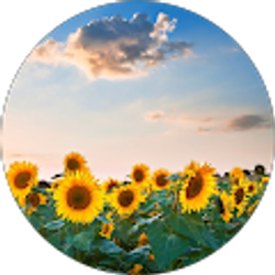 Profile photo of Melanie Escandon