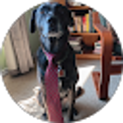 Profile photo of Won Ton Wookie