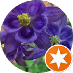 Profile photo of Hannah Giacoletti