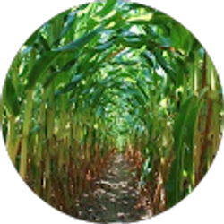 Profile photo of David Q