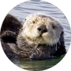 Profile photo of Scott Miller