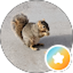 Profile photo of Candy