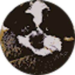Profile photo of Bryan Parks