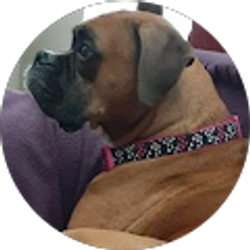 Profile photo of Max