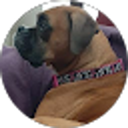 Profile photo of Max