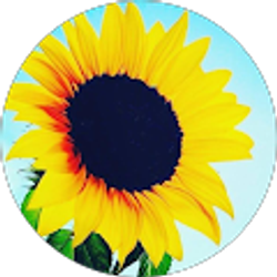 Profile photo of Yai