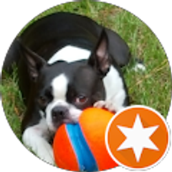 Profile photo of Robert Van Patten