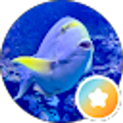 Profile photo of E