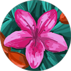 Profile photo of Damarys Cereceres