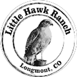 Profile photo of Michelle Sander