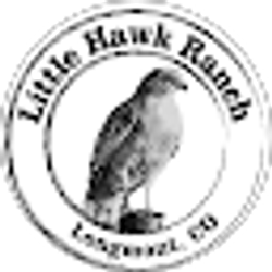 Profile photo of Michelle Sander