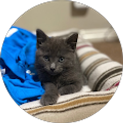 Profile photo of Suiney Bonilla