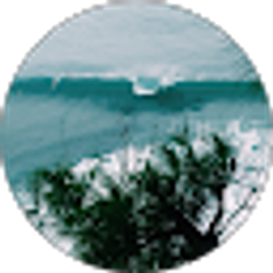 Profile photo of Raka Wood