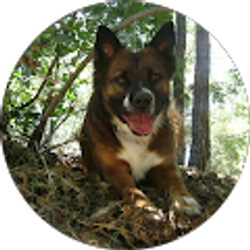 Profile photo of Karen Lindke