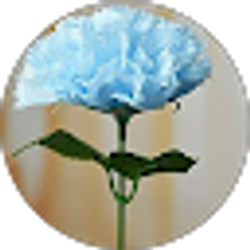 Profile photo of Alissa Magato