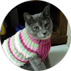 Profile photo of Kely Boekema