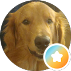 Profile photo of Brandon