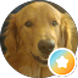Profile photo of Brandon