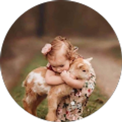 Profile photo of Mustafa Mehdizada