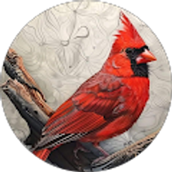 Profile photo of Teresa Click