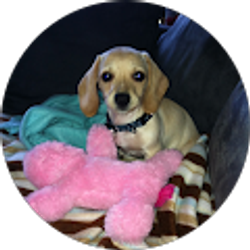 Profile photo of Rob Chester