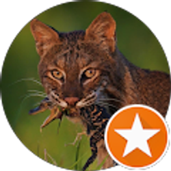 Profile photo of Sammy G