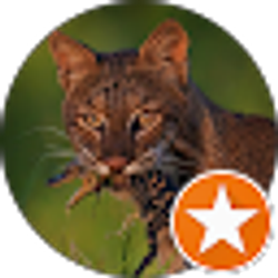 Profile photo of Sammy G