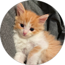 Profile photo of Angie Reynoso