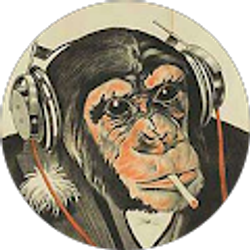 Profile photo of Smart Monkey