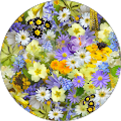 Profile photo of CJ Eaton