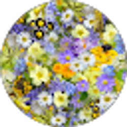 Profile photo of CJ Eaton