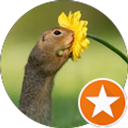 Profile photo of Wayne Smith