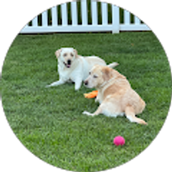 Profile photo of Patti