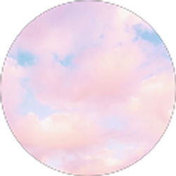 Profile photo of amanda monachelli