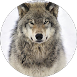 Profile photo of Eric Hawkins Jr